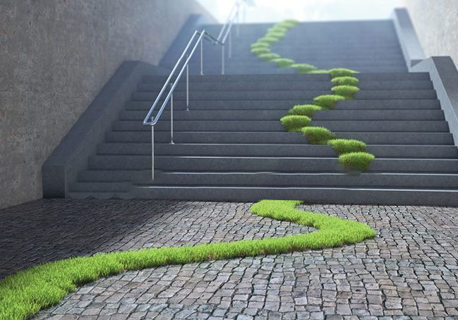 A set of stairs with grass growing on them.