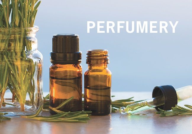 PERFUMERY Fragrance Page